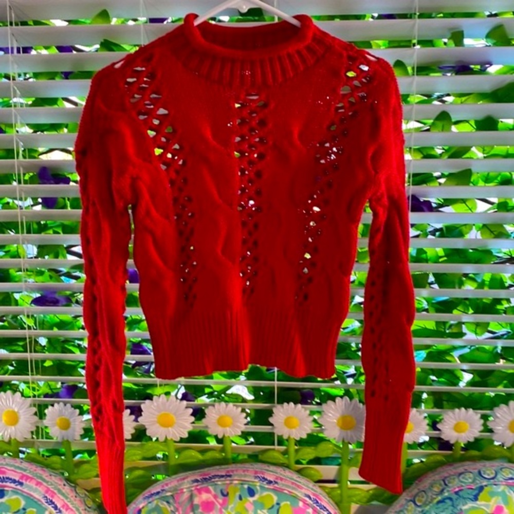 Express red crochet cropped turtleneck sweater